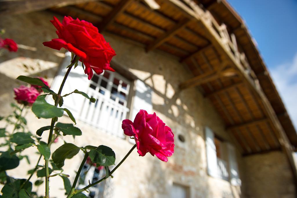 Le Poutic Gite Et Maison D'Hotes Creon-d'Armagnac Экстерьер фото